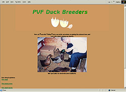 PVF Duck Breeders